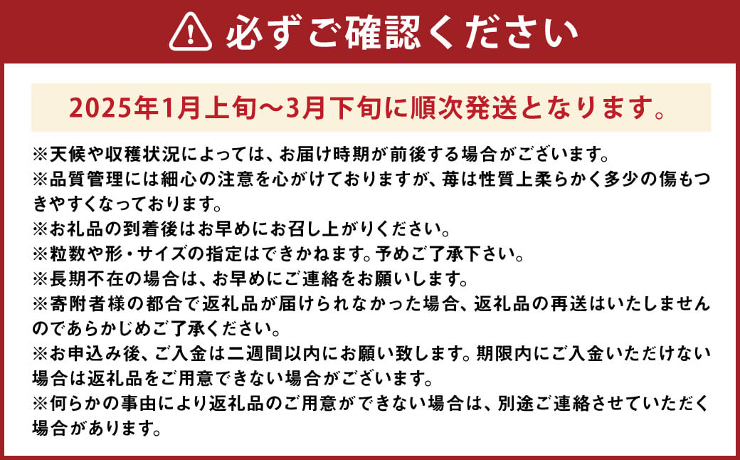 化粧箱入り 特別栽培 の 濃厚 完熟 あまおう 約900g 約450g×2パック 【2025年1月上旬～3月下旬まで発送予定】 いちご 苺 果物 フルーツ