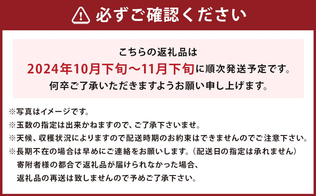 博多甘うぃ キウイ 約3.6kg 20~24玉 【2024年10月下旬～11月下旬発送】