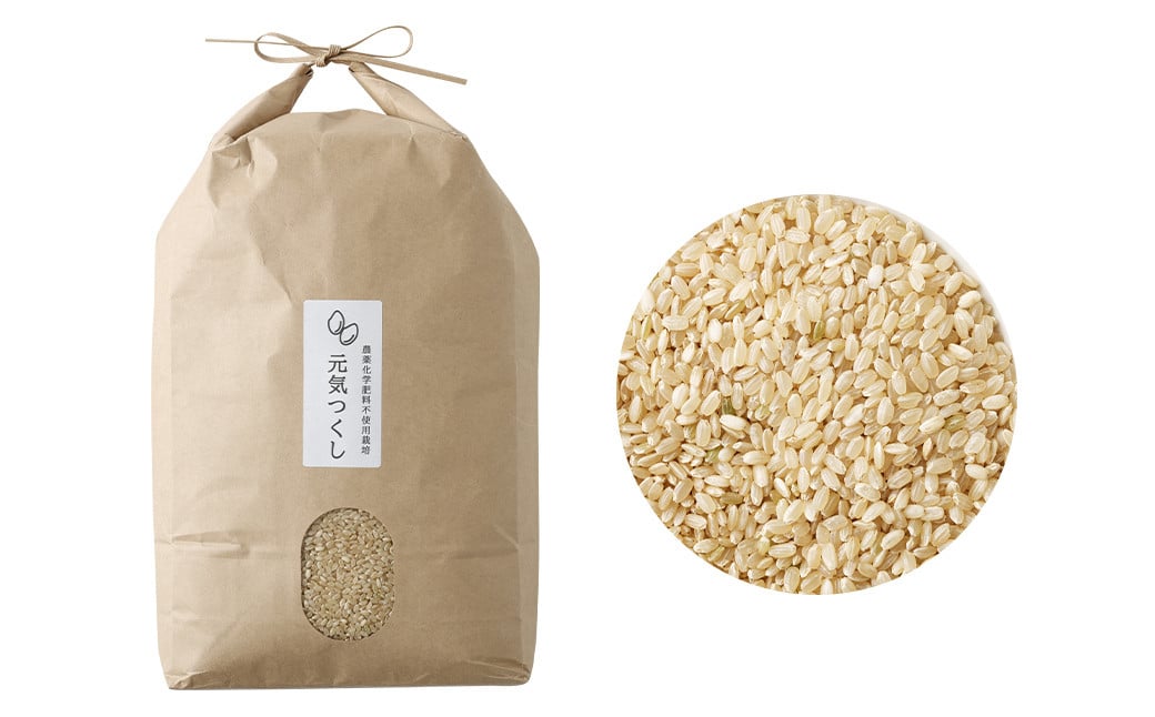 【栽培期間中肥料・農薬不使用】福岡県産 元気つくし 玄米 5kg お弁当 【2025年11月上旬より順次発送予定】