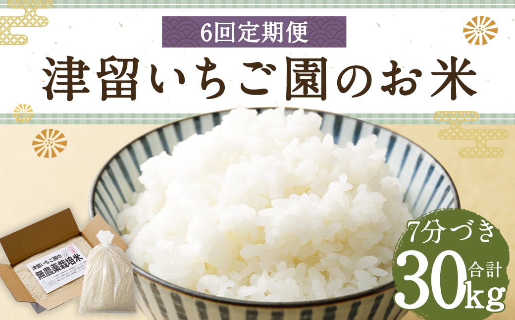 【6回定期便】津留いちご園のお米 7分づき  農薬・化学肥料不使用（栽培期間中） 約5kg×6回 合計約30kg【2024年11月上旬発送開始】 ご飯 定期便 福岡県産 国産