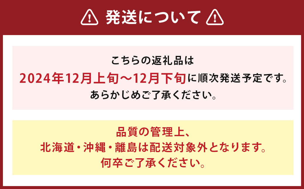 福岡県産 あまおう 合計約540g 約270g×2パック 【2024年12月上旬～12月下旬迄発送】