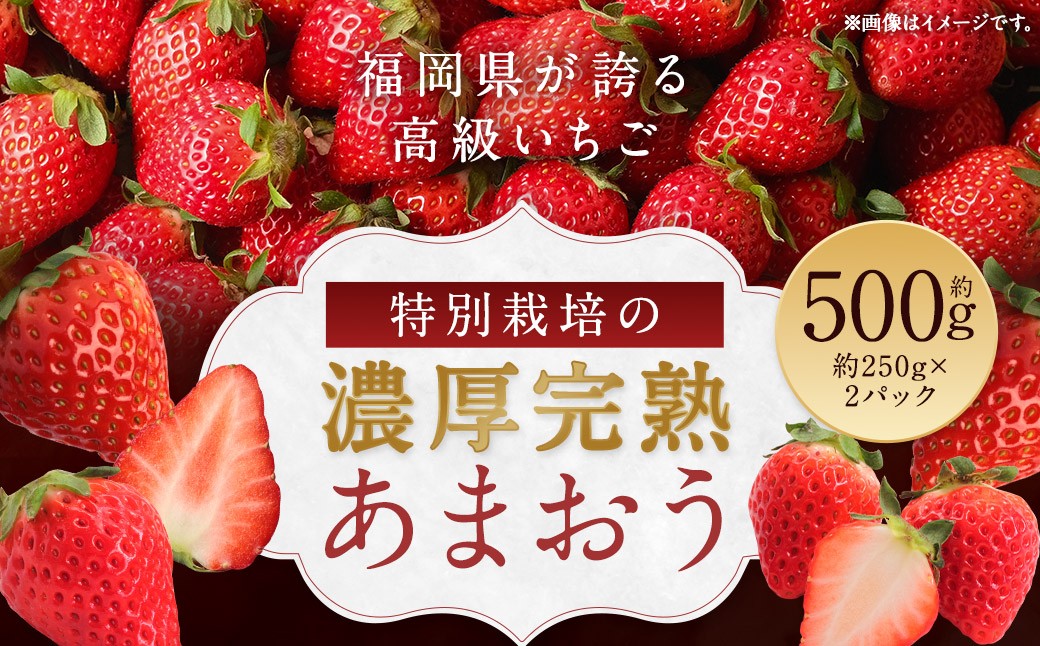 特別栽培の濃厚完熟あまおう 約500g 約250g×2パック【2026年1月上旬から3月下旬発送予定】 苺 いちご あまおう 果物 フルーツ 福岡県