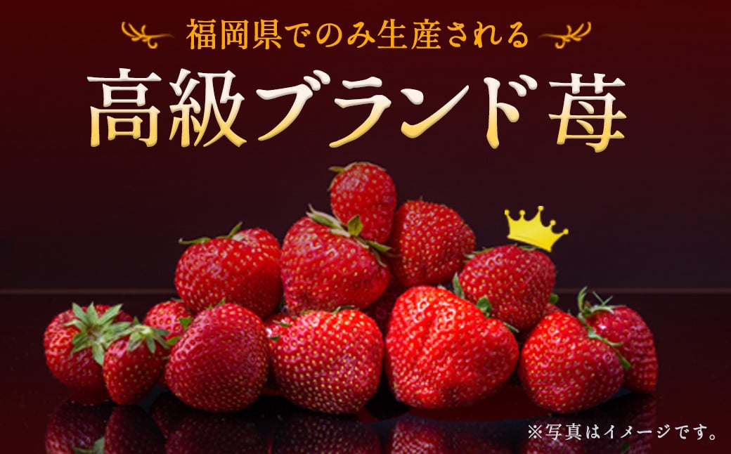 いちご「あまおう」 約270g×2パック 合計 約540g【2025年1月下旬～3月下旬発送】