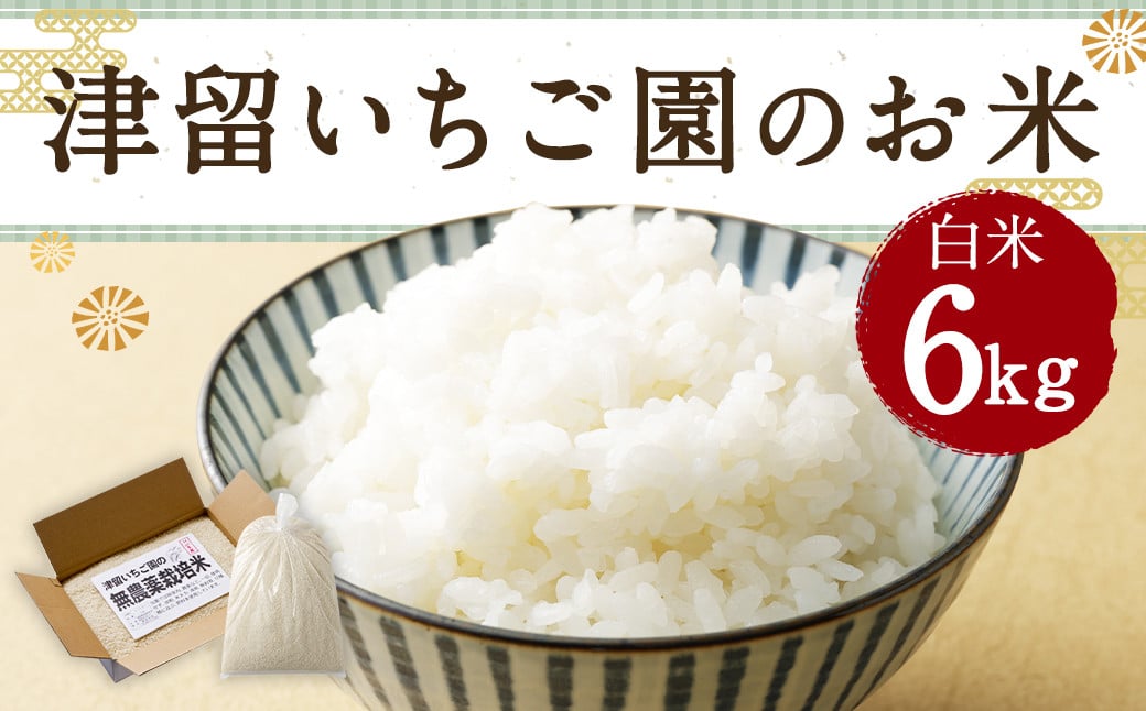 津留いちご園のお米 白米 農薬・化学肥料不使用（栽培期間中） 6kg 【2024年11月上旬から2025年10月下旬発送予定】 米 お米 ご飯 精米 九州 福岡