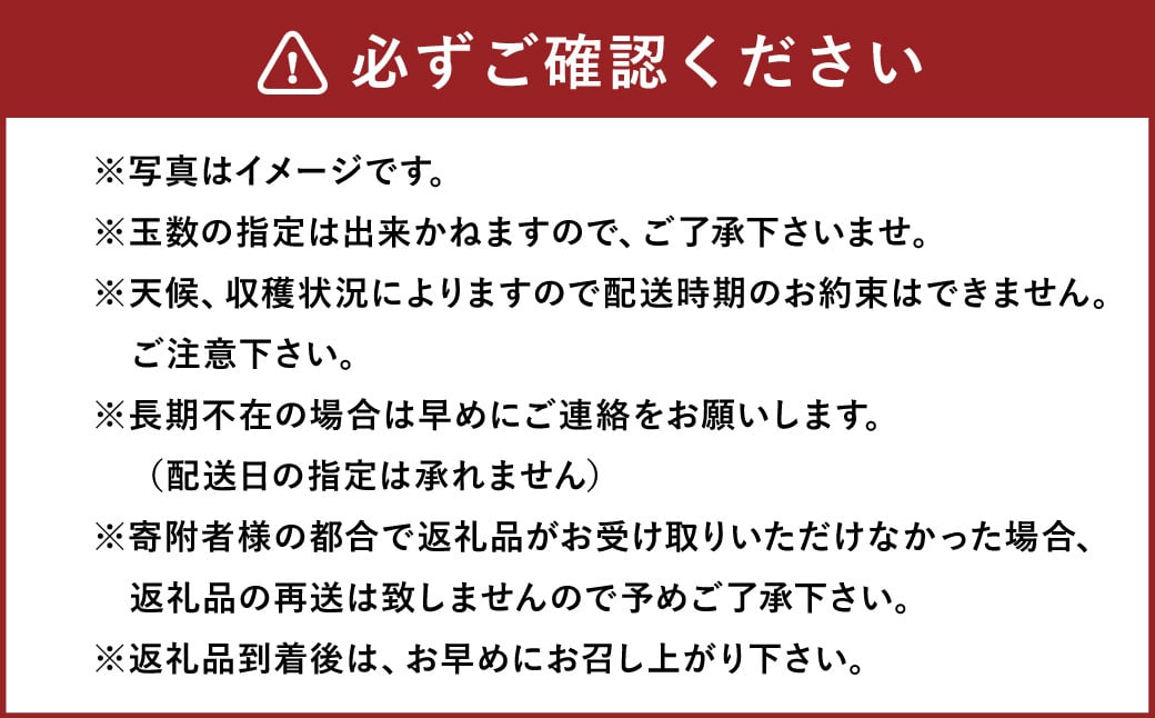  豊水梨 9～12玉 約5kg ナシ 梨 福岡県産 【2024年8月上旬～9月上旬発送】