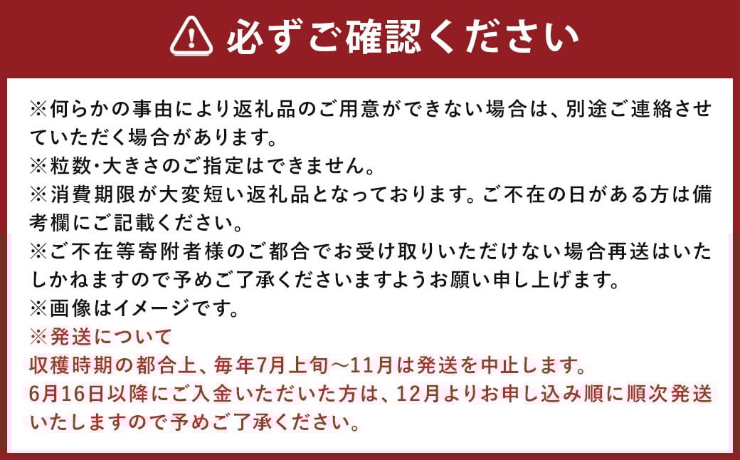 ミディトマト はなひめ 3kg 中玉 トマト 福岡県産 【7月-11月発送不可】