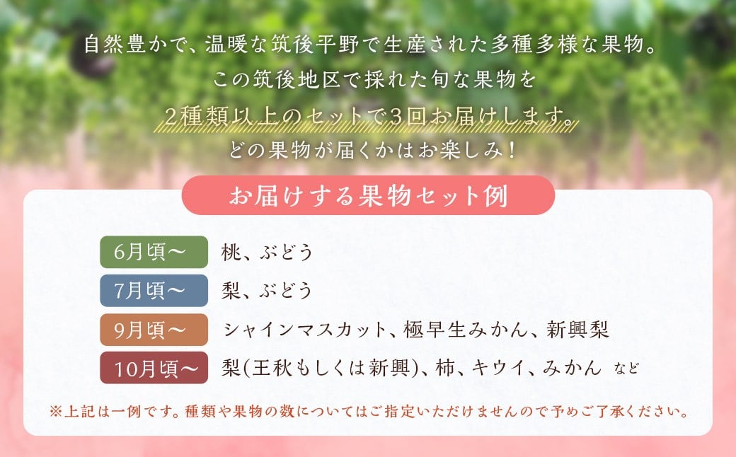 【3回定期便】今が旬な地元産の果物詰め合わせセット【2026年6月上旬から順次発送予定】 桃 ぶどう 梨 みかん 柿 キウイ 国産 冷蔵