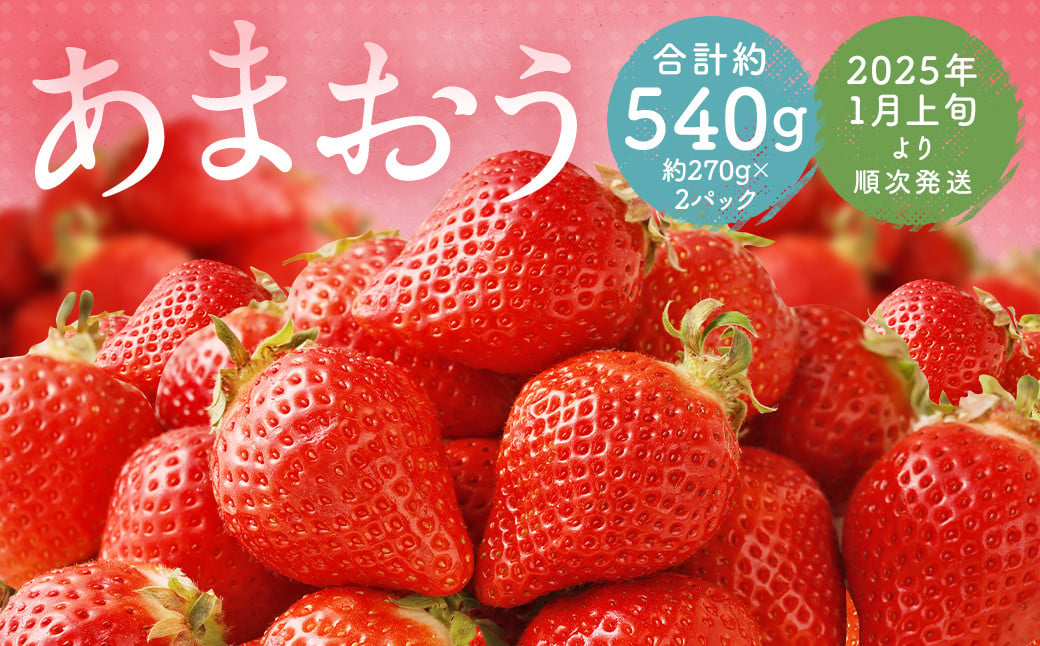 福岡県産 あまおう 合計約540g 約270g×2パック 【2025年1月上旬～1月下旬発送】