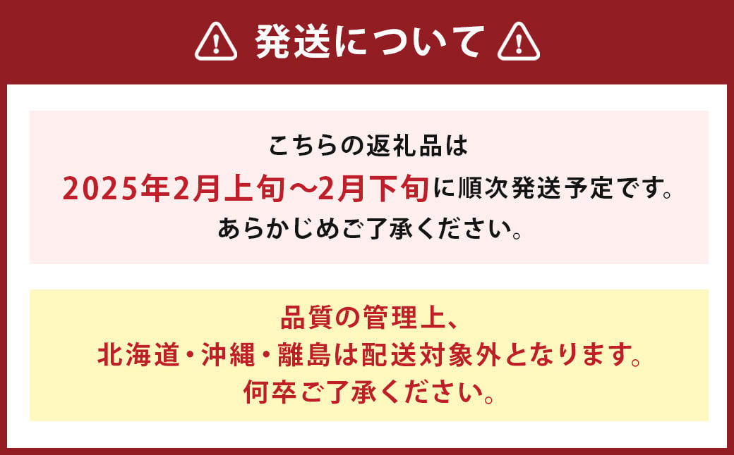 福岡県産 あまおう 合計約1,080g 約270g×4パック 【2025年2月上旬～2月下旬発送】