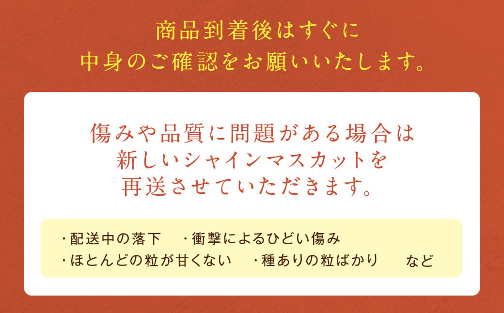  農園直送 ！ シャインマスカット 約1.2kg 2~3房 【2024年8月上旬～10月上旬発送】