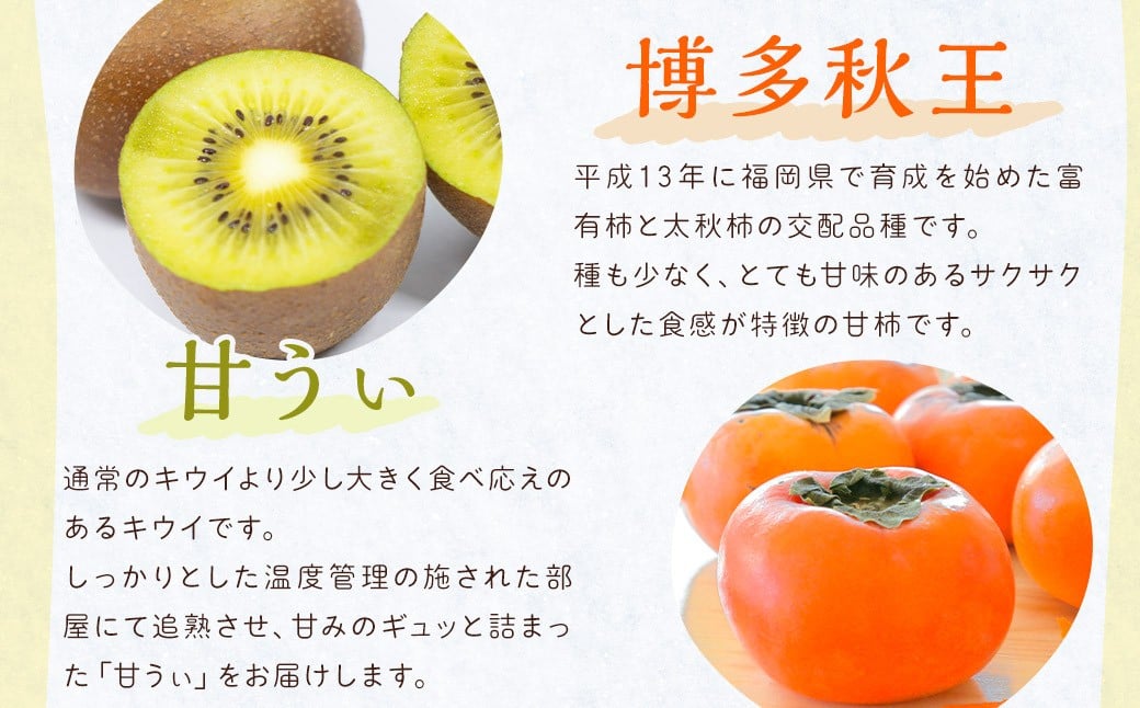 【3回定期便】今が旬な地元産の果物詰め合わせセット【2026年6月上旬から順次発送予定】 桃 ぶどう 梨 みかん 柿 キウイ 国産 冷蔵