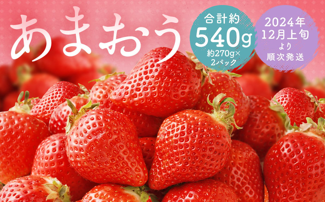 福岡県産 あまおう 合計約540g 約270g×2パック 【2024年12月上旬～12月下旬迄発送】