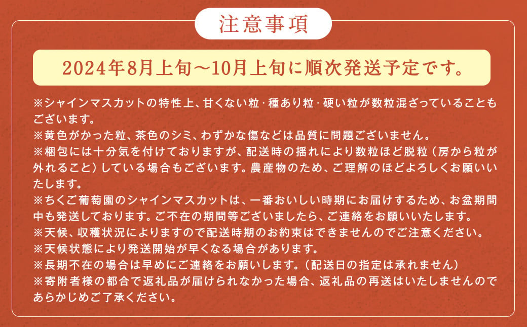  農園直送 ！ シャインマスカット 約2.4kg 4〜5房 【2024年8月上旬～10月上旬発送】