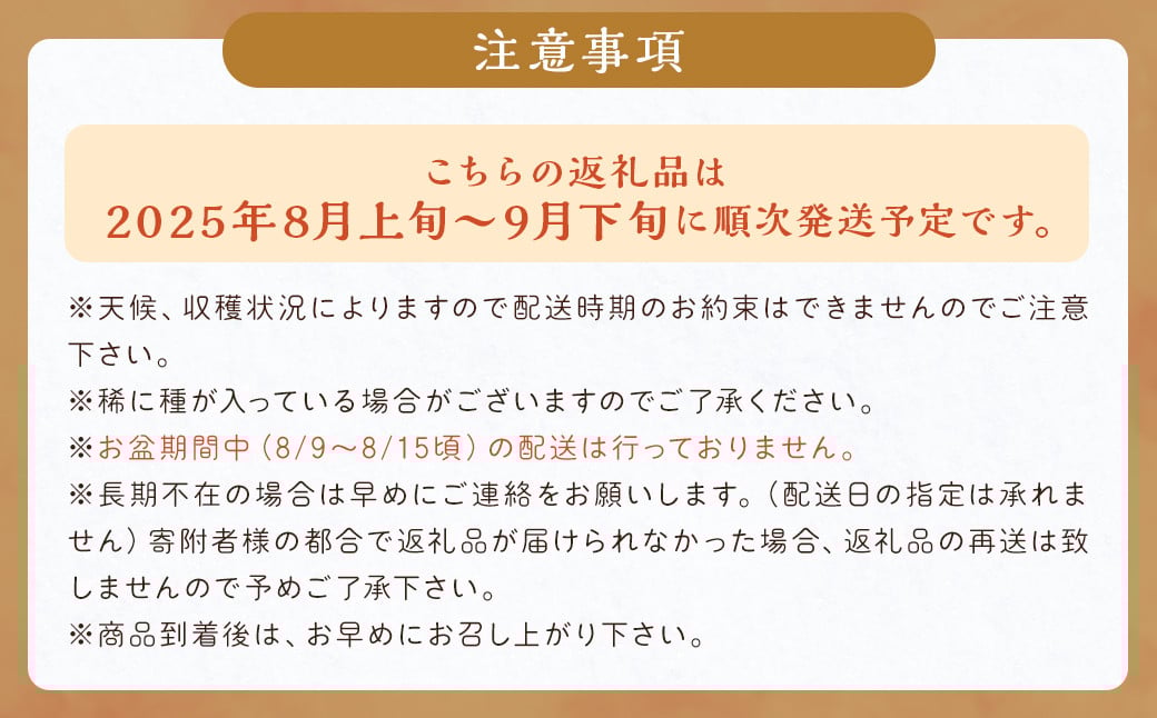 先行予約 シャインマスカット 約1.4kg 【2025年8月上旬～9月下旬発送】 ぶどう 葡萄 ブドウ マスカット 果物 フルーツ