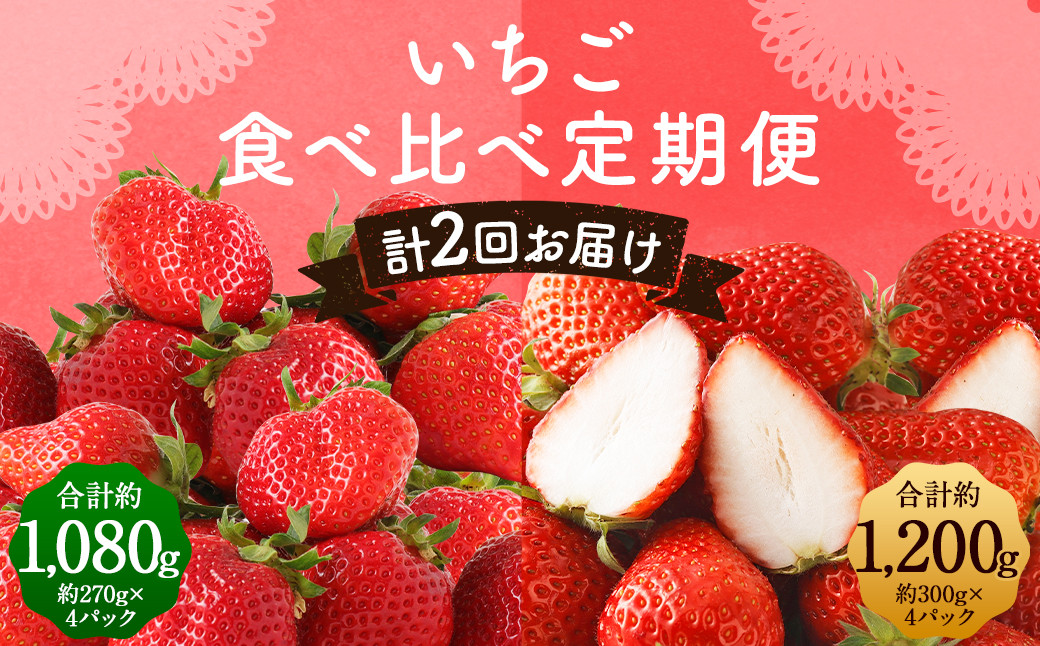 【全2回定期便】数量限定フルーツ定期便 いちご 2品種 食べ比べ ( あまおう ・ かおり野 ) 合計約2.28kg