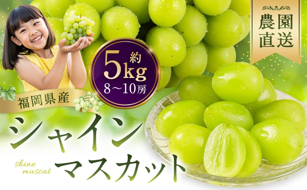 農園直送！ シャインマスカット 約5kg 8房〜10房 【2026年8月上旬〜10月上旬順次発送予定】 ぶどう マスカット 果物 フルーツ