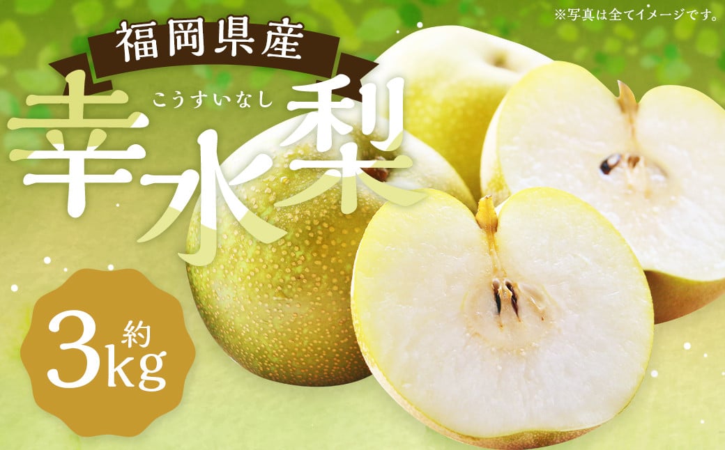 幸水梨 約3kg 5～8玉【2026年7月下旬から8月下旬発送予定】 ナシ 梨 果物 フルーツ 福岡県産