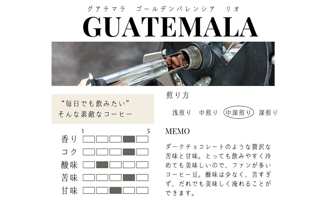 【粉】 【12か月定期便】 グアテマラ ゴールデンパレンシア リオ ウォッシュド （中深煎り） 400g コーヒー 珈琲 粉 こな
