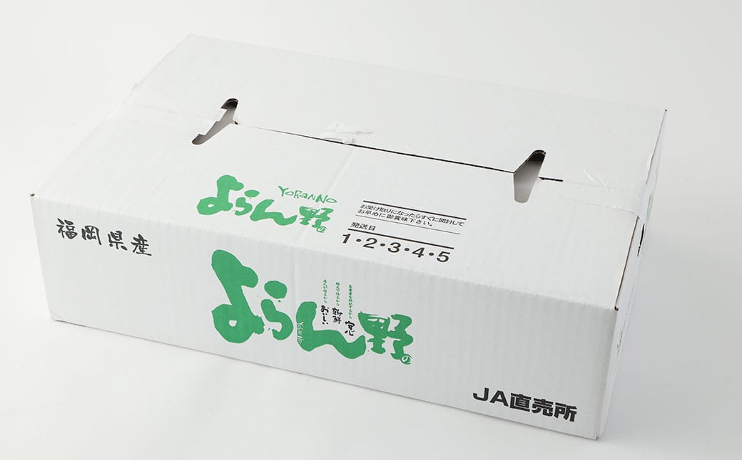 【 3か月 定期便 】 産直 野菜 詰め合わせ BOX 福岡県産 ( お野菜 と 米 の セット )