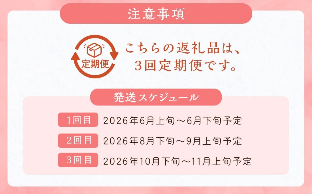 【3回定期便】今が旬な地元産の果物詰め合わせセット【2026年6月上旬から順次発送予定】 桃 ぶどう 梨 みかん 柿 キウイ 国産 冷蔵