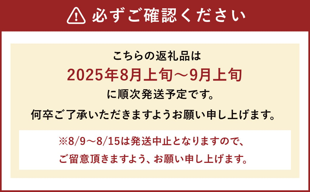  豊水梨 約3kg 5～8玉【2025年8月上旬～9月上旬発送予定】 ナシ 梨 果物 フルーツ 福岡県産