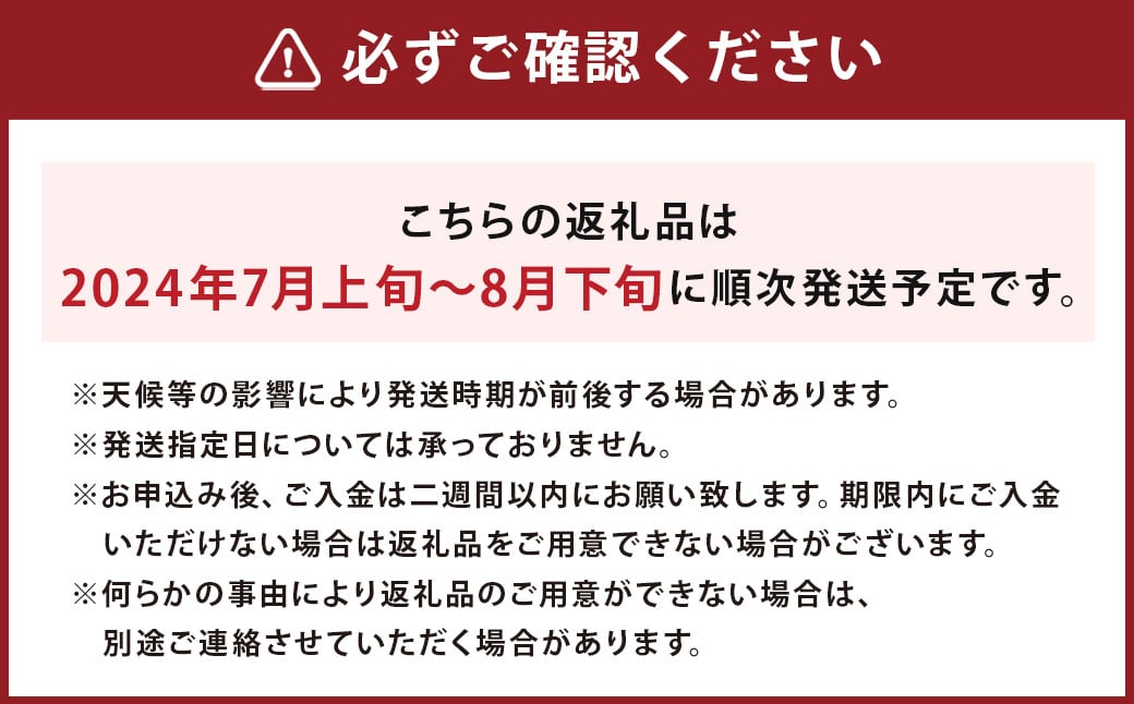 生ブルーベリー  約700g (約350g×2パック) 冷蔵 【2024年7月上旬~8月下旬発送】