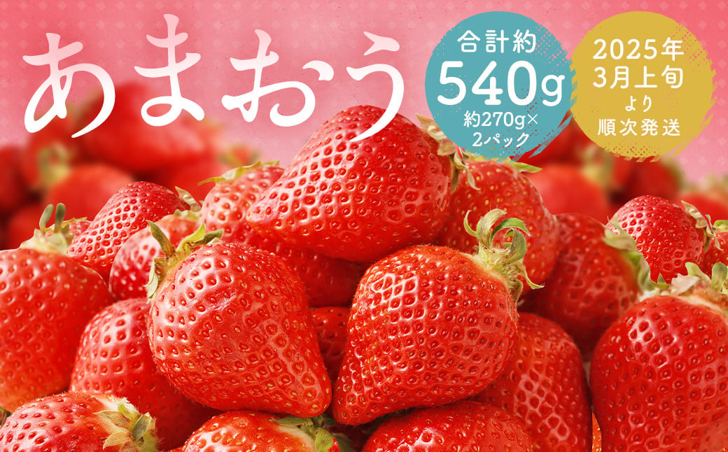 福岡県産 あまおう 合計約540g 約270g×2パック 【2025年3月上旬～3月下旬発送】