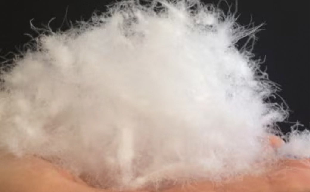 【 シュラフ （ 寝袋 ） × ダウンケット × ボルスタークッション 】 3WAY 寝袋 ダウン85%  0.5kg 使用 収納ケース付き キャンプ アウトドア 防災 オールシーズン 薄手タイプ お昼寝 福岡県 筑後市