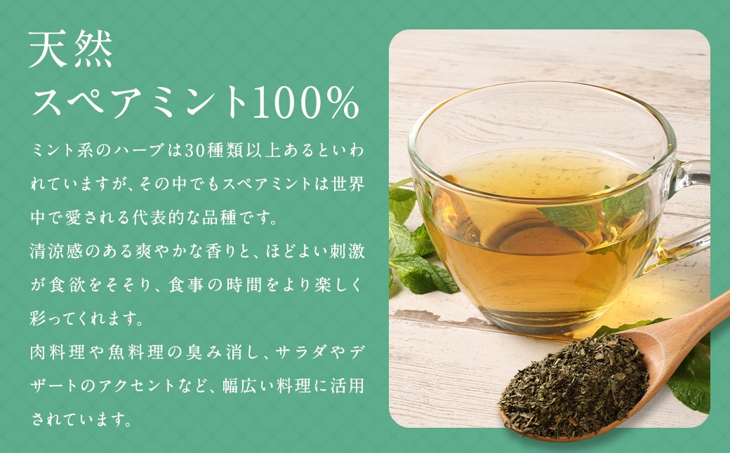 スペアミントティー （ 森のこかげ ） 1.5g × 70パック スペアミント ハーブティー ノンカフェイン 香り リフレッシュ 料理活用 お茶 茶葉 飲料 常温 ハーブ