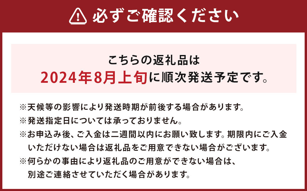 冷凍 ブルーベリー  約1kg (約200g×5) 冷凍 【2024年8月上旬発送開始】