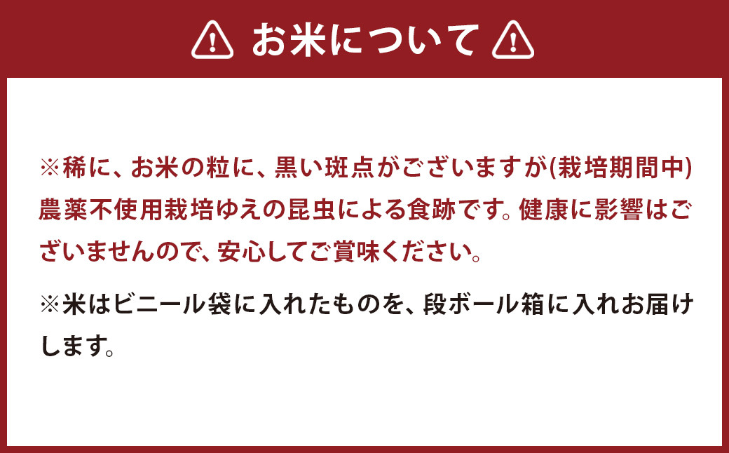 津留いちご園のお米 玄米 農薬・化学肥料不使用（栽培期間中） 6kg ヒノヒカリ 米 お米 ご飯 九州 福岡