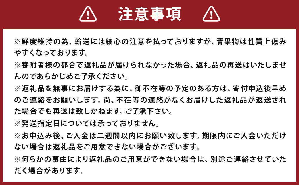 いちご「かおり野」プレミアム 300g×2パック 約600g 【2024年12月下旬から2025年3月下旬発送予定】 苺 イチゴ ベリー 果物 フルーツ デザート おやつ お取り寄せ