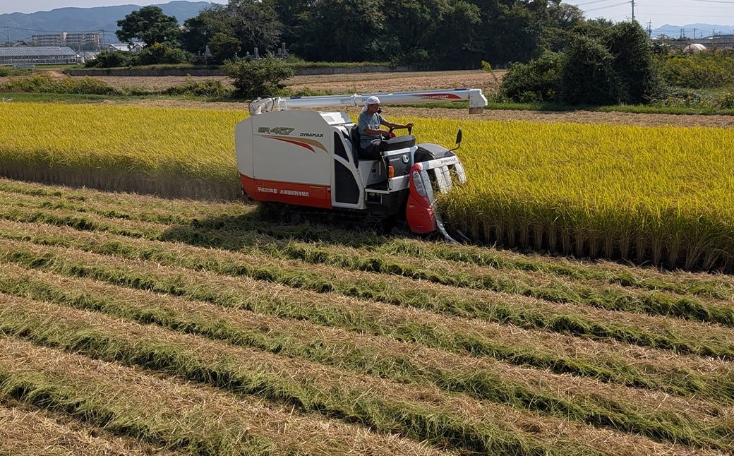 福岡県産実りつくし5kg×1袋 白米 はくまい 米 こめ ご飯 精米 国産