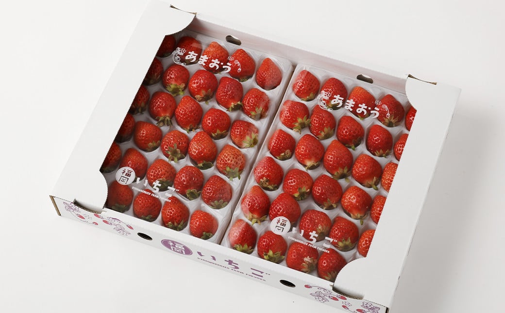 【訳あり】 福岡県産 あまおう 約1.3kg 約330g×4パック 中粒 小粒 いちご 苺 イチゴ 果物 フルーツ 【2025年3月上旬～3月下旬発送】
