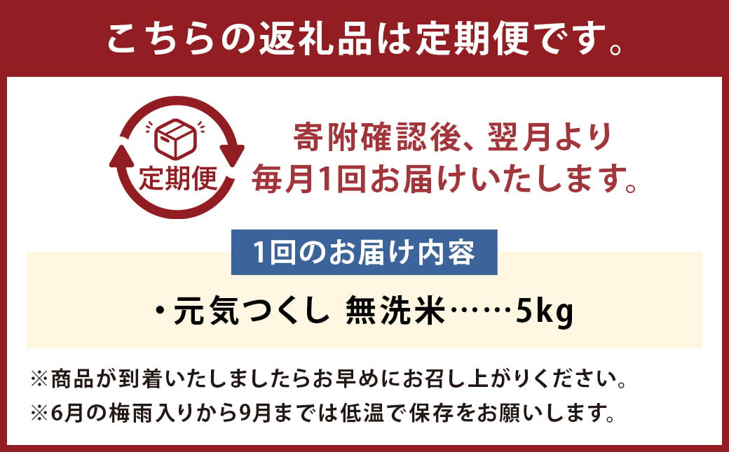 【3回定期便】フタエさんの お米 元気つくし 無洗米 5kg×3回 計15kg 米 コメ ごはん ご飯 うるち米 国産 福岡県産 九州産