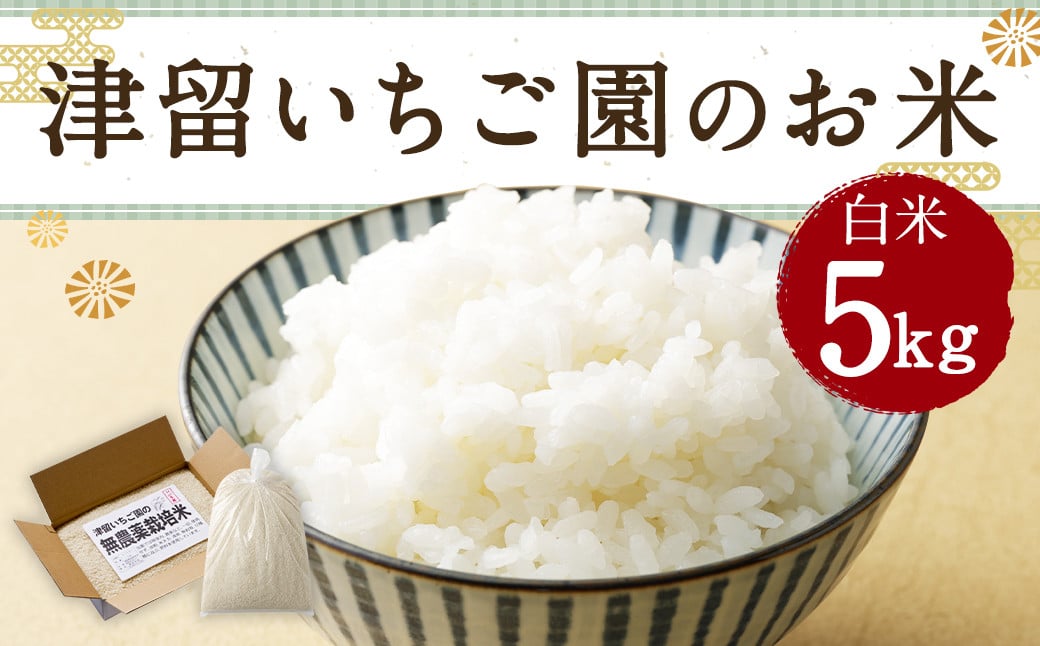 津留いちご園のお米 白米 農薬・化学肥料不使用（栽培期間中） 5kg 【2024年11月上旬から2025年10月下旬発送予定】 米 お米 ご飯 精米 九州 福岡