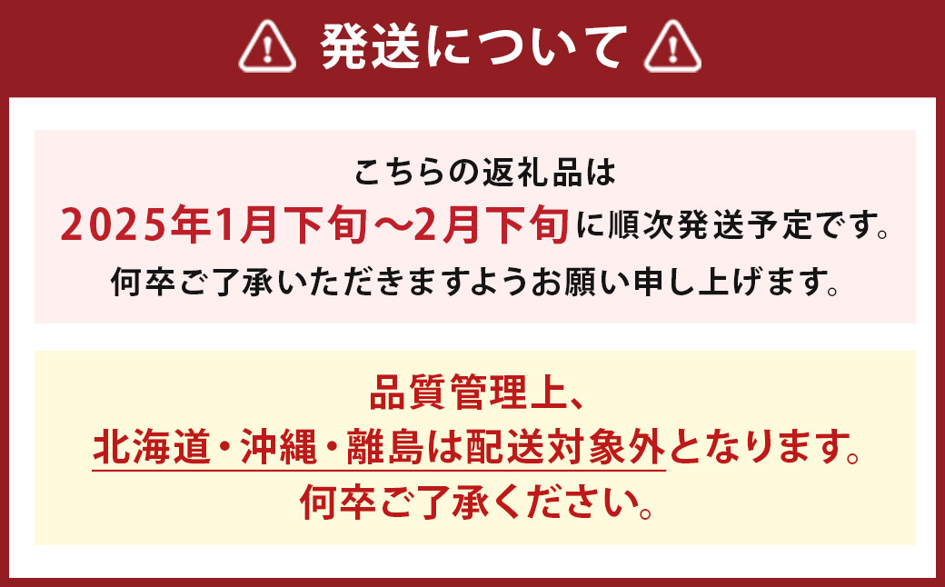  【期間限定】博多 あまおう いちご エクセレント 約450g×2パック 合計約900g【2025年1月下旬～2月下旬順次発送予定】