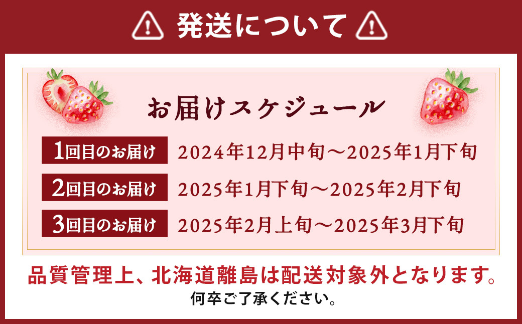 【3回定期便】いちご「あまおう」 約270g×4パック 合計 約3240g【2024年12月中旬発送開始】