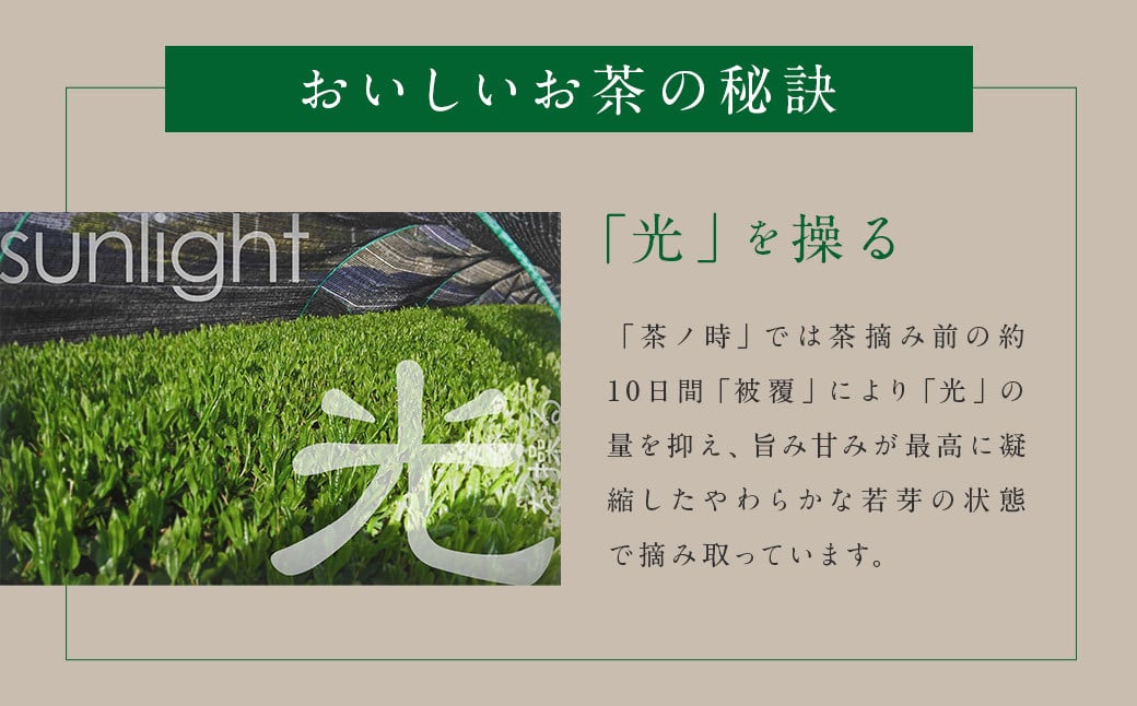 【訳アリ 簡易包装】八女茶農家が自宅で飲む 農家のこだわり かぶせ白折茶 80g×5袋 【2025年6月下旬以降順次発送予定】 お茶 緑茶 八女茶 煎茶 ティーバッグ 飲料 訳あり