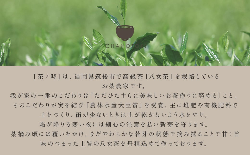 日本茶AWARD受賞 八女茶 極上煎茶 麗至 uruwashi 60g×3袋 セット お茶 緑茶 日本茶 高級茶 煎茶 飲料