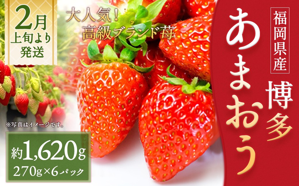 いちご 「あまおう」 約270g×6パック 計約1620g 苺 イチゴ 果物 フルーツ 【2026年2月上旬～2026年3月下旬順次発送予定】