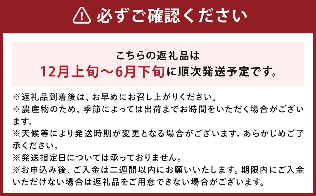 ミディトマト はなひめ 3kg 中玉 トマト 福岡県産 【7月-11月発送不可】
