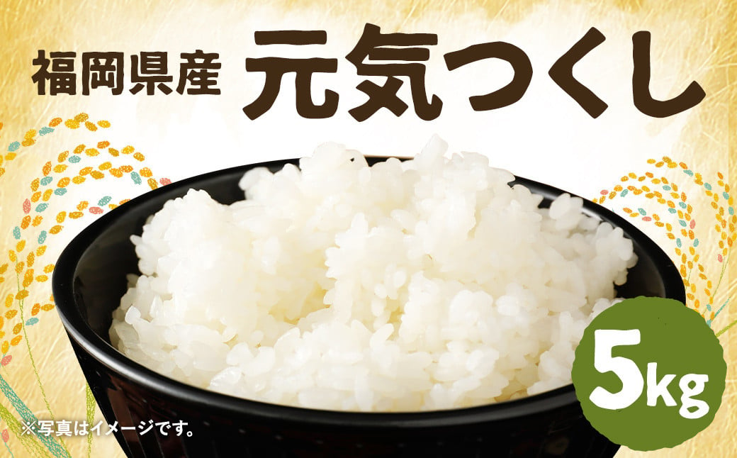 令和6年産 元気つくし5kg×1袋 / 米 お米 ご飯 精米 九州 福岡