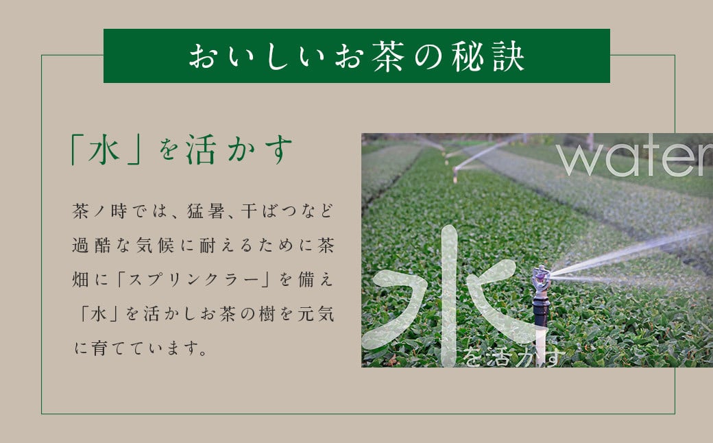 日本茶AWARD受賞 八女茶 極上煎茶 麗至 uruwashi 60g×3袋 セット お茶 緑茶 日本茶 高級茶 煎茶 飲料