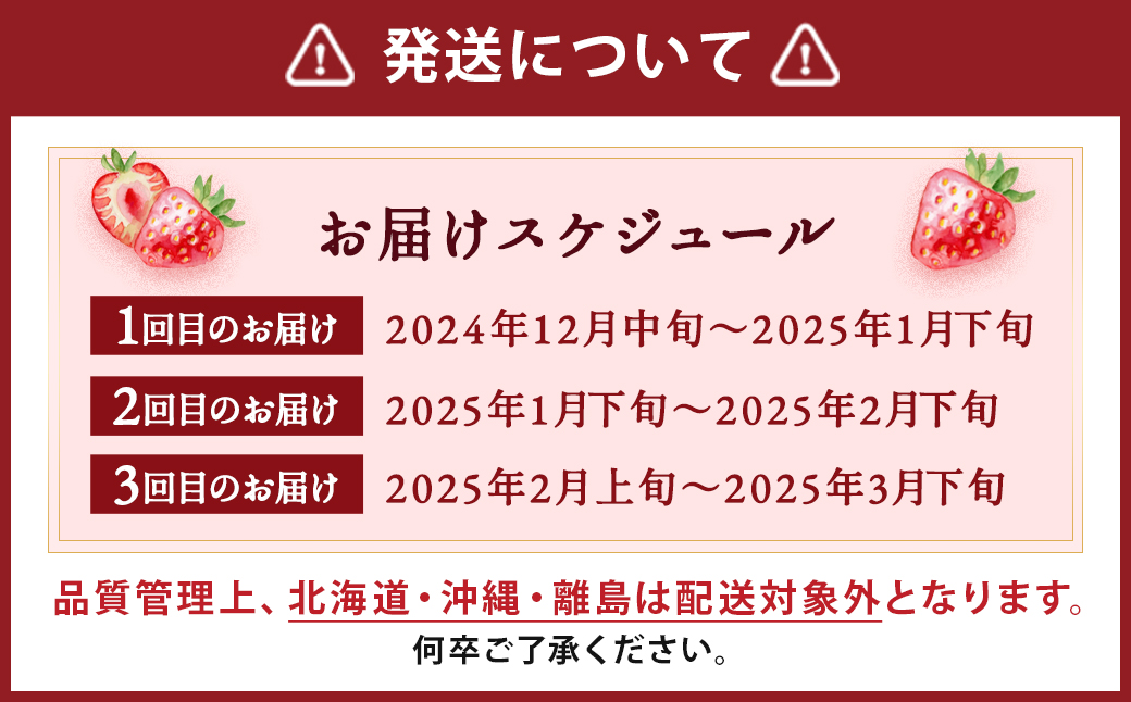 【3回定期便】いちご「あまおう」 約270g×4パック 合計 約3240g【2024年12月中旬発送開始】