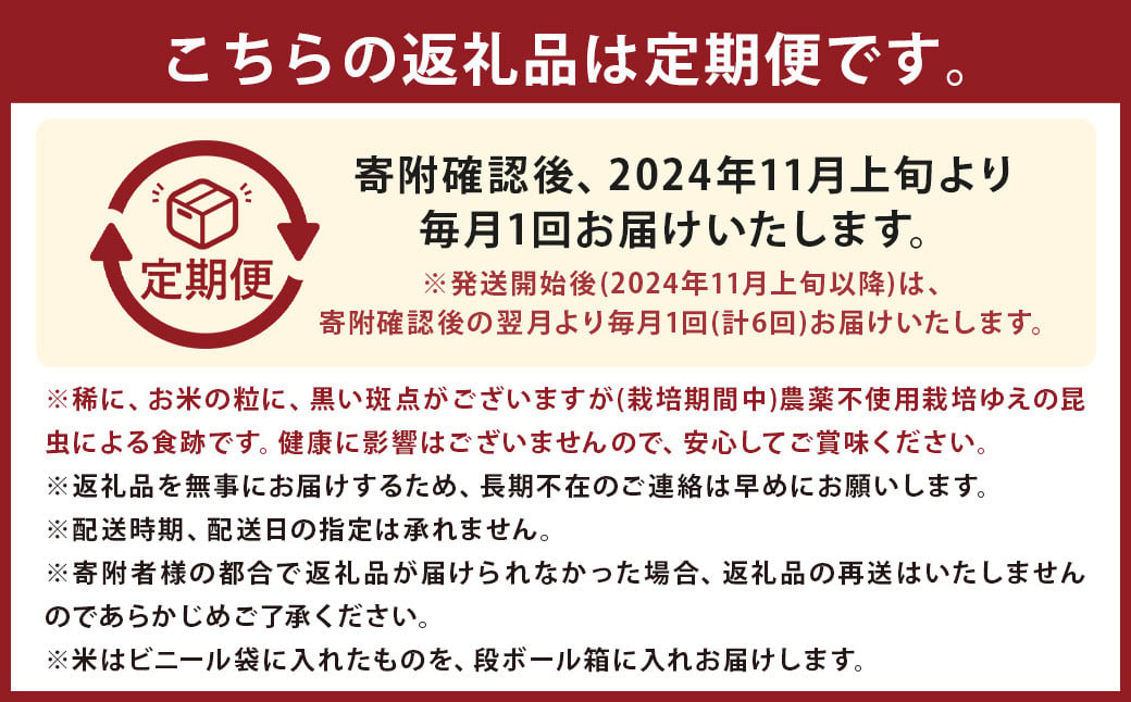 【6回定期便】津留いちご園のお米 7分づき  農薬・化学肥料不使用（栽培期間中） 約6kg×6回 合計約36kg【2024年11月上旬発送開始】 ヒノヒカリ ご飯 定期便 福岡県産 国産