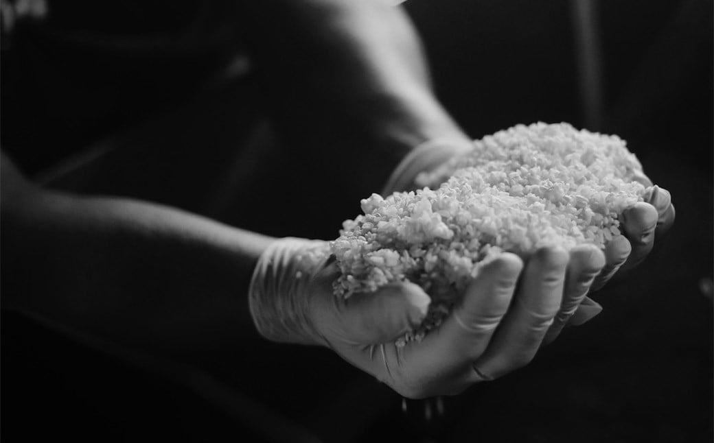 米麹 1kg×2 ／ 米 こめ コメ 米麴 米糀 米こうじ 麹 麴 糀 こうじ 国産 福岡県 筑後市