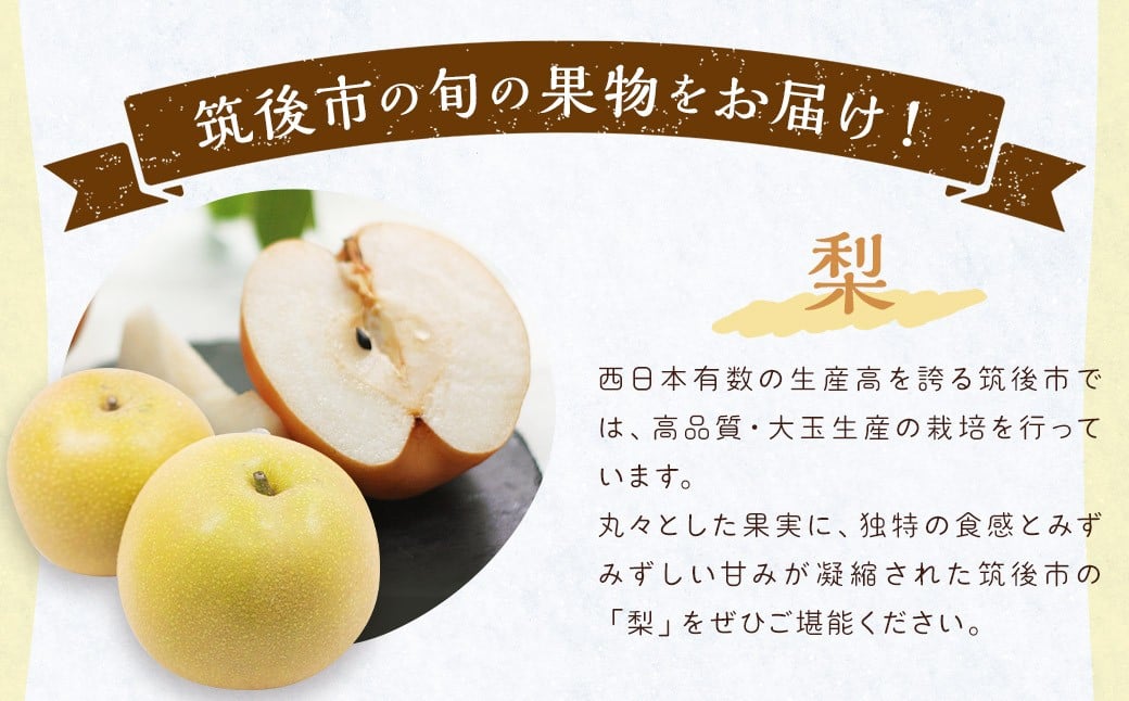 【3回定期便】今が旬な地元産の果物詰め合わせセット【2026年6月上旬から順次発送予定】 桃 ぶどう 梨 みかん 柿 キウイ 国産 冷蔵