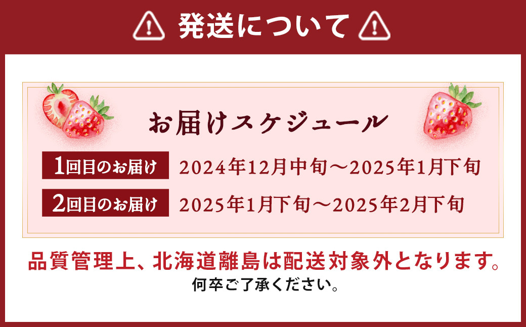 【2回定期便】いちご「あまおう」 約270g×4パック 合計 約2160g【2024年12月中旬発送開始】