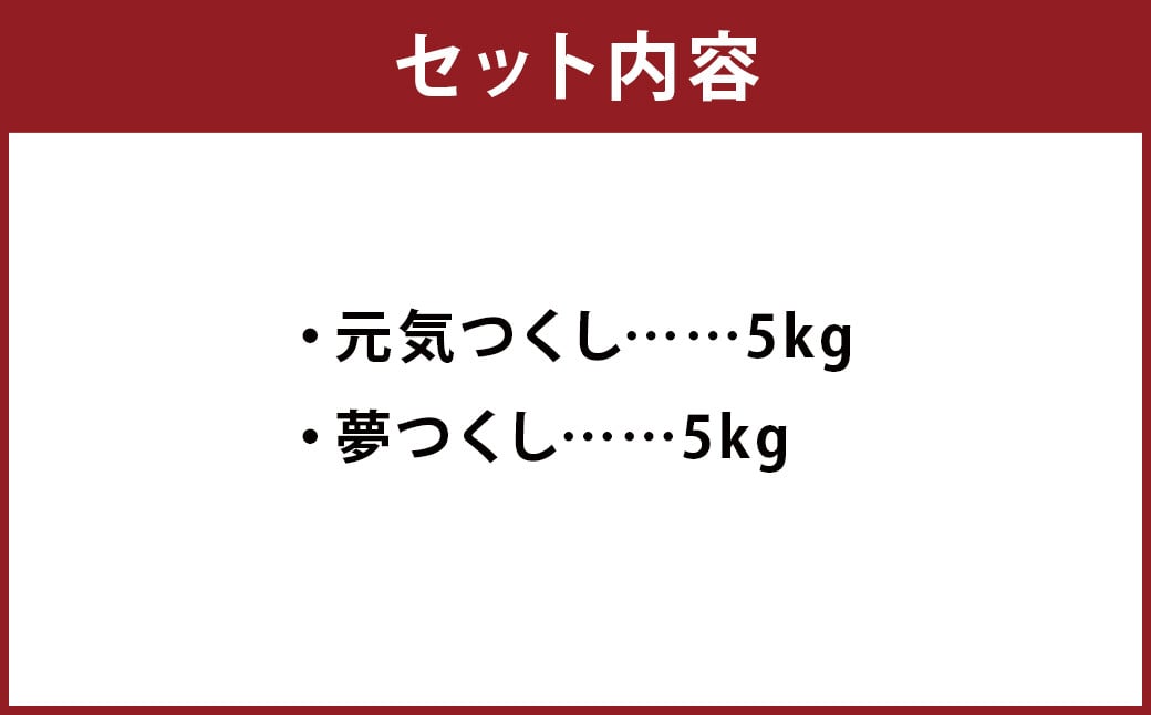 令和6年産 元気つくし・夢つくしセット 各5kg×1袋 計10kg  / 米 お米 ご飯 精米 九州 福岡